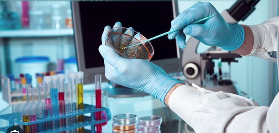 Microbiology